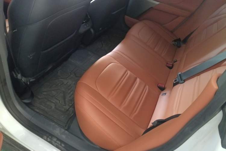 Used  eπ007 2024 All-Electric 530 RuYi Edition