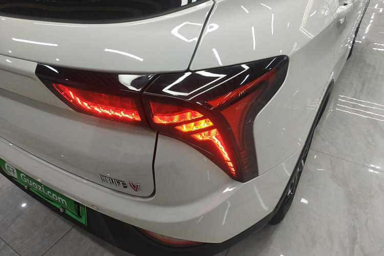 Used NETA V 2021 Long-Range Entertainment Edition Upgrade Model