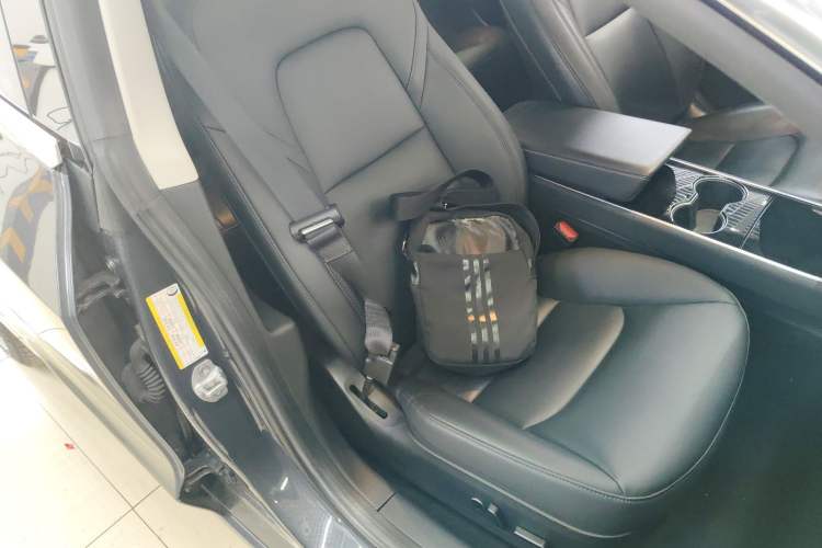 Used Tesla Model 3 2020 Revised Version Standard Range Rear-Wheel Drive – Upgraded Edition
