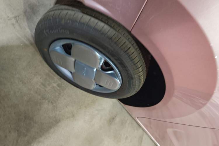 Used  Panda 2024 Panda Mini 200km Endurance Bear