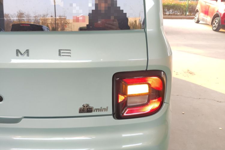 Used  Panda 2023 Panda Mini 200km Endurance Bear
