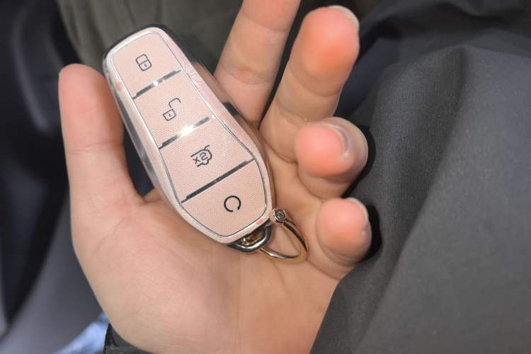 Used BYD Song Pro New Energy 2024 HONOR Edition DM-i 110KM Beyond Model