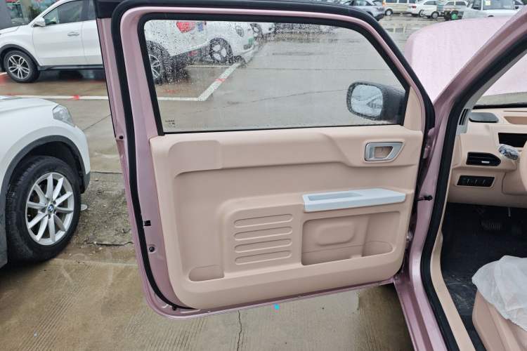 Used  Panda 2024 Panda Mini 200km Endurance Bear
