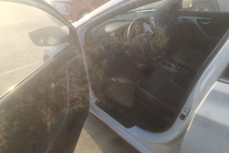 Used Hyundai Elantra 2015 1.6L Automatic Leading Model