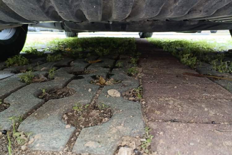 Used Mercedes-Benz C-Class 2019 C 260 Sport Edition
