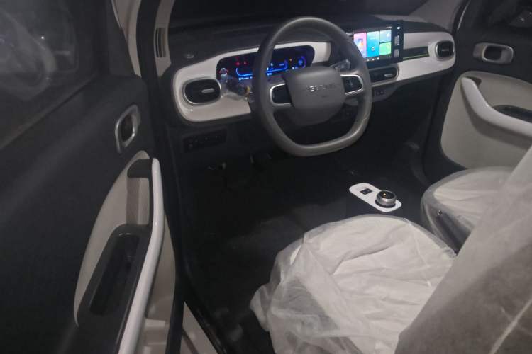 Used  Panda 2025 210 km – Yuanqi Bear
