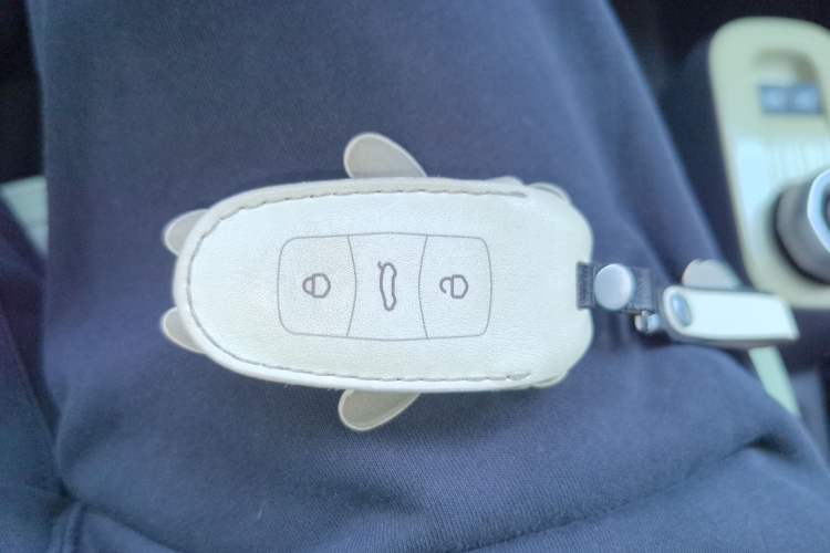 Used  Panda 2024 200km Panda Rider