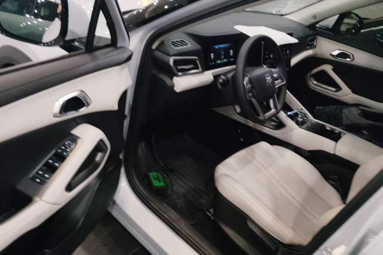 Used BYD Yuan UP 2024 401KM Leading Edition
