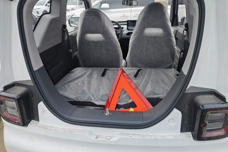 Used  Panda 2024 Panda Mini 200km Endurance Bear