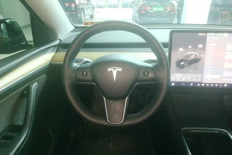 Used Tesla Model Y 2022 Revised Version Long-Range All-Wheel Drive
