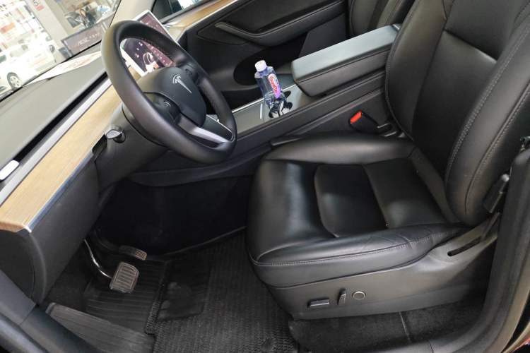 Used Tesla Model Y 2021 Standard Range Rear-Wheel Drive Version
