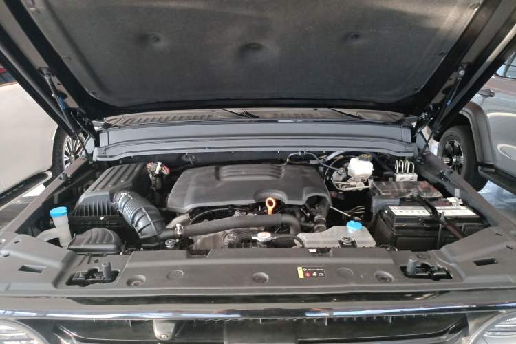 Used Tank 300 2023 Off-Road Edition 2.0T Conqueror
