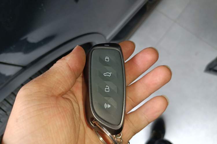 Used Haval  2024 Hi4 102km Trend Electric Version Plus
