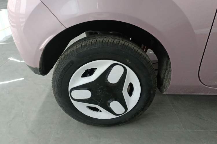 Used  Panda 2025 210 km – Yuanqi Bear