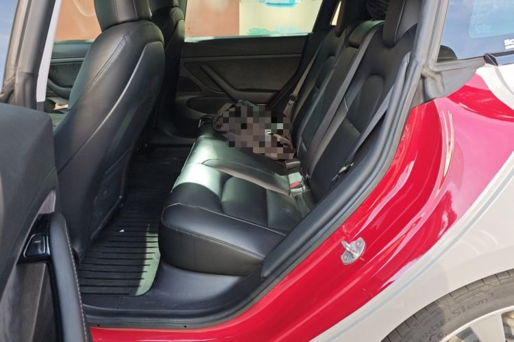 Used Tesla Model 3 2019 Standard Range Rear-Drive Upgraded Version
