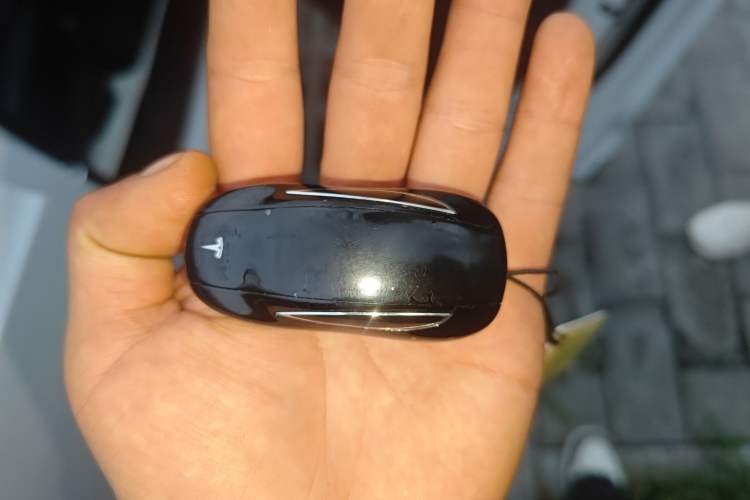 Used Tesla Model X 2019 Long-Range Version