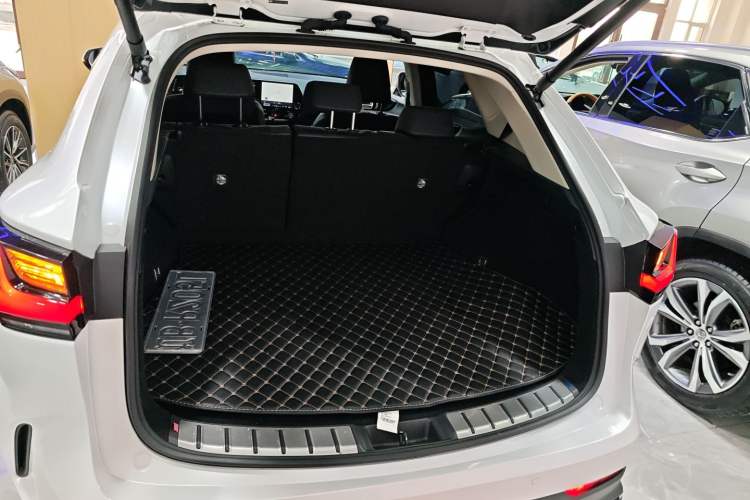 Used Lexus NX 2024 350h Front-Drive Xinchu Version