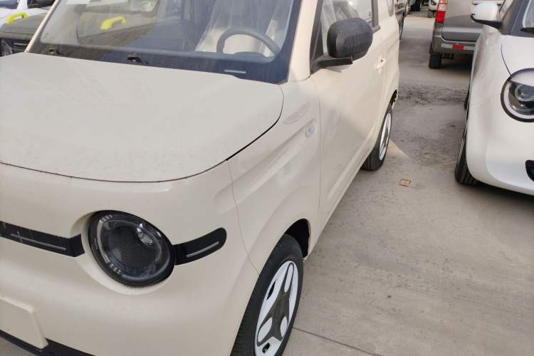Used  Panda 2025 210 km – Yuanqi Bear