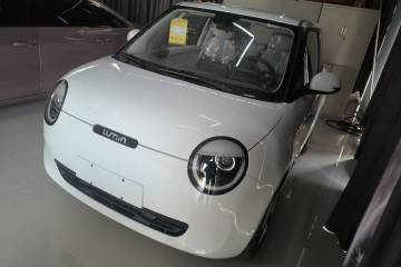 Used Qiyuan Lumin 2025 205 km Xiangqin Version