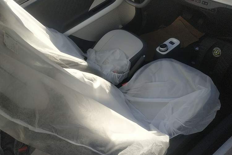 Used  Panda 2025 210 km – Yuanqi Bear