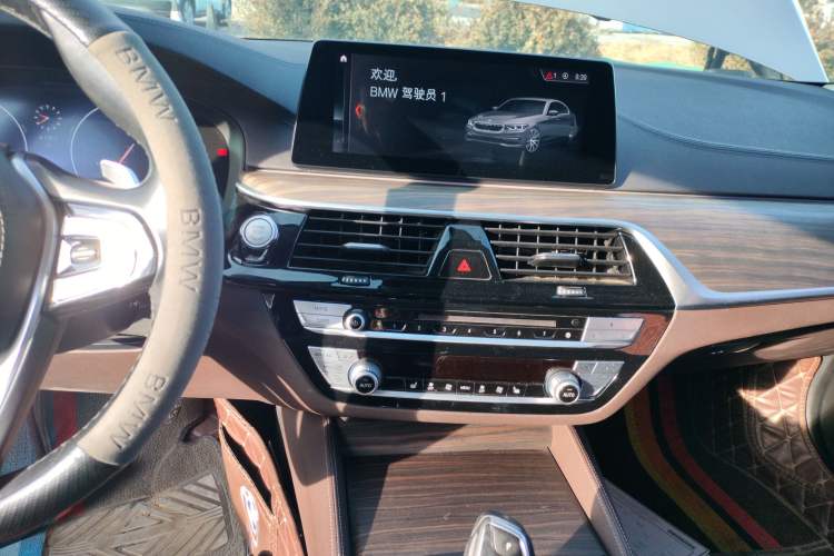 Used BMW 5 Series 2019 530Li Leading Model Luxury Package
