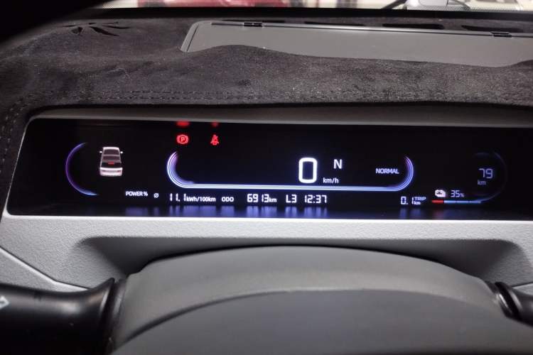 Used  Panda 2024 Panda Mini 200km Endurance Bear
