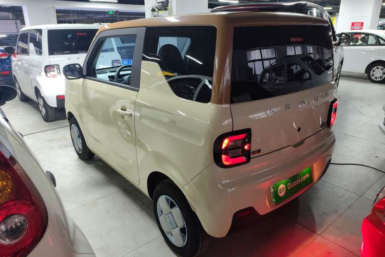 Used  Panda 2024 Panda Mini 200km Endurance Bear
