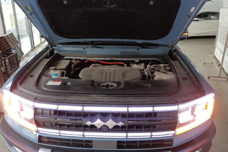 Used  Leopard 5 2023 Flagship Edition
