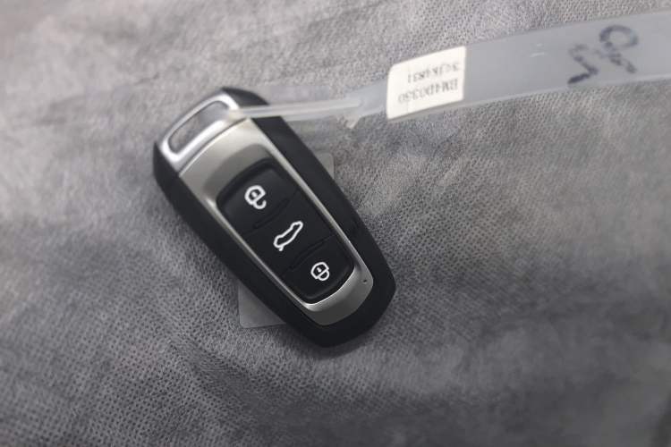 Used  Panda 2024 Panda Mini 200km Endurance Bear
