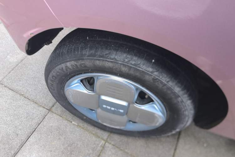 Used  Panda 2023 Panda Mini 200km Endurance Bear