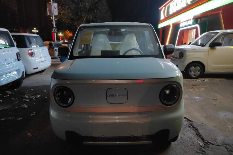 Used  Panda 2024 Panda Mini 200km Endurance Bear
