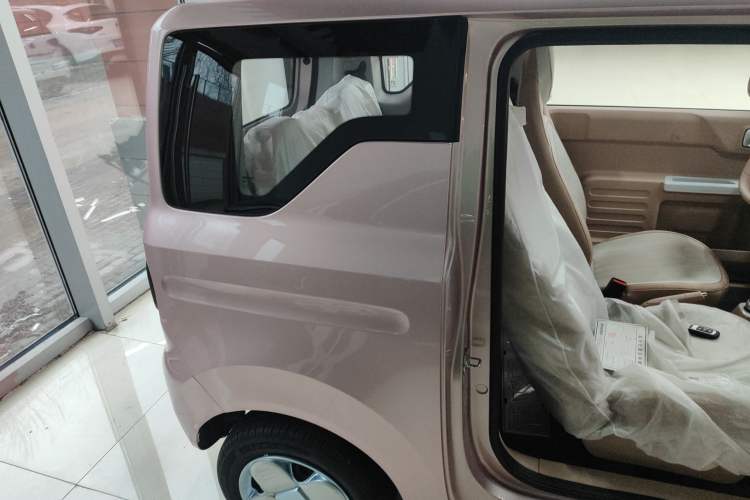 Used  Panda 2024 Panda Mini 200km Endurance Bear
