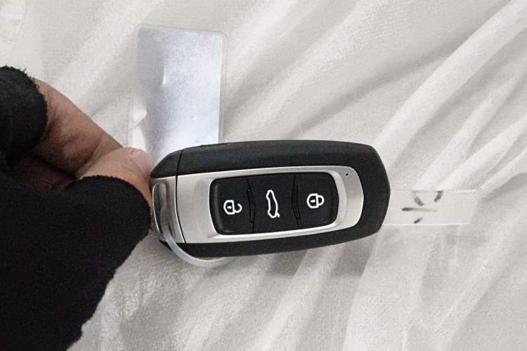 Used  Panda 2025 210 km – Yuanqi Bear
