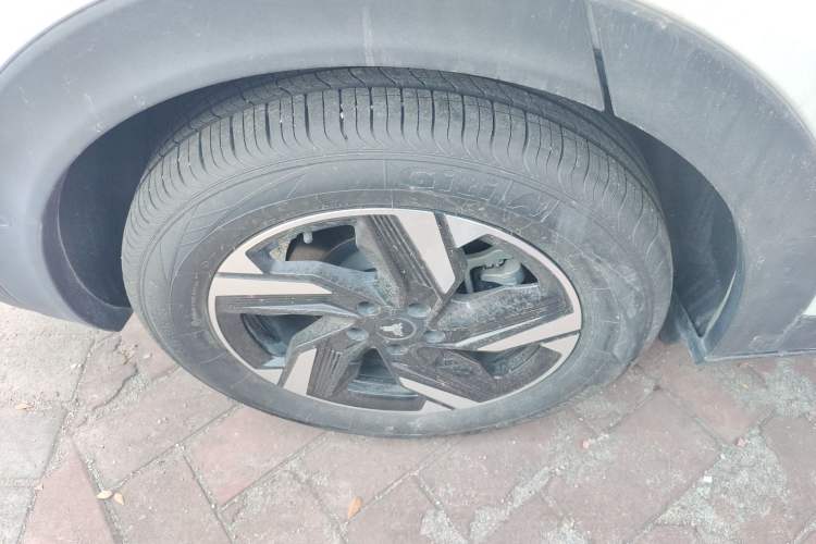 Used NETA X 2023 500
