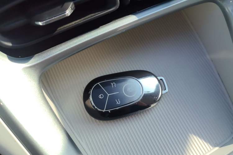 Used  Geome 2025 310km Youth Edition
