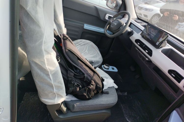 Used  Panda 2024 Panda Mini 200km Endurance Bear
