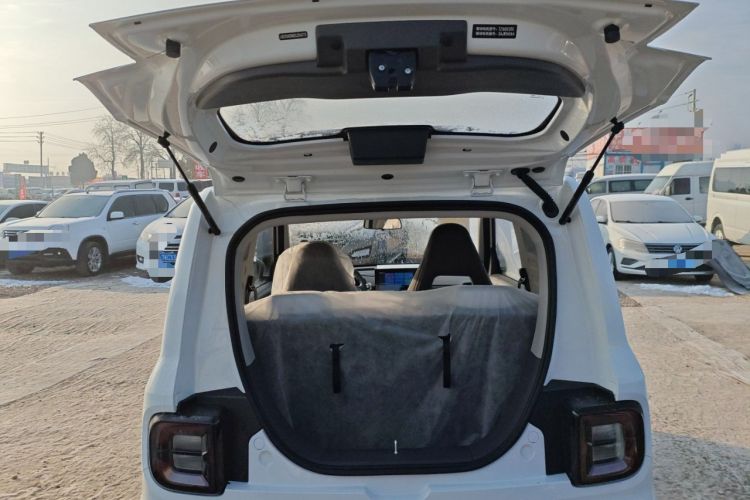 Used  Panda 2025 210 km – Yuanqi Bear