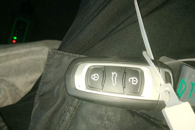 Used  Panda 2024 Panda Mini 200km Endurance Bear
