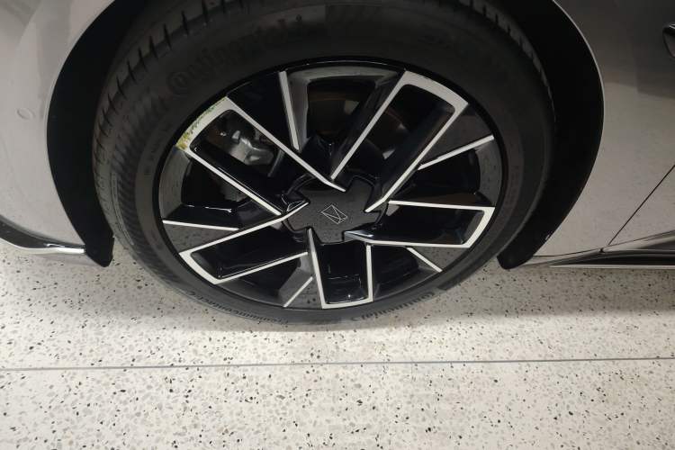 Used  06 2025 Max Extended-Range Edition