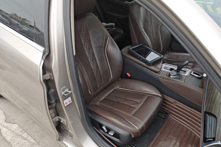 Used BMW 5 Series New Energy 2020 530Le Luxury Package
