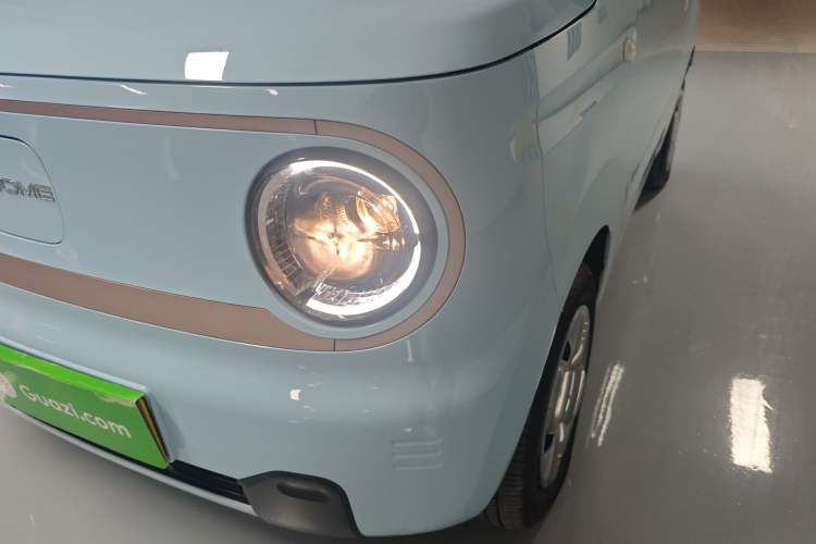 Used  Panda 2023 Panda Mini 200km Endurance Bear