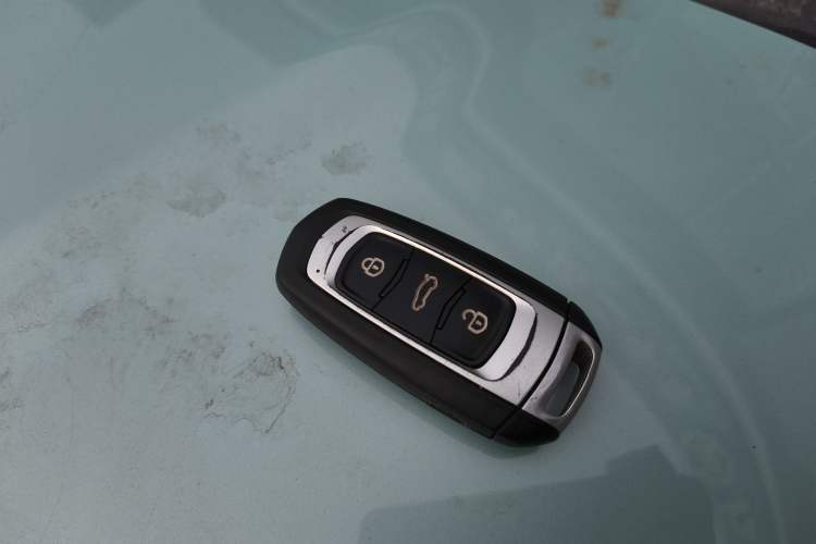 Used  Panda 2024 Panda Mini 200km Endurance Bear