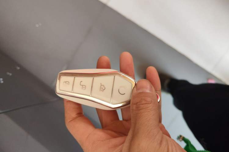 Used BYD Qin PLUS 2023 Champion Edition EV 510KM Beyond Model
