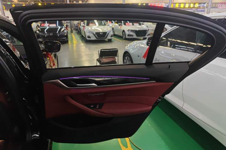 Used BMW 5 Series 2019 530Li Leading Model M Sport Package