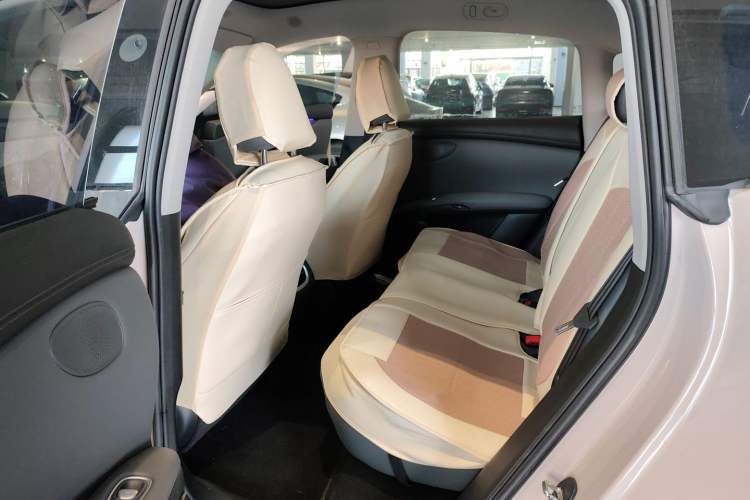 Used  LS6 2023 Max Long-Range Version