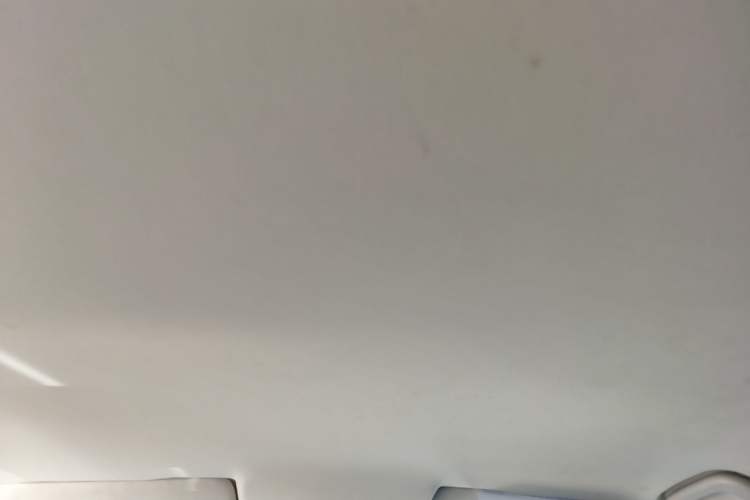 Used Livan Maple 80V 2021 Youtong Edition Ternary Lithium