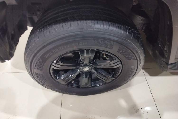 Used Tank 300 2024 2.0T Conqueror
