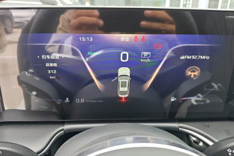 Used Hongqi H9 2025 2.0T Two-Wheel Drive Flagship Luxury Business Edition 5 Seats
