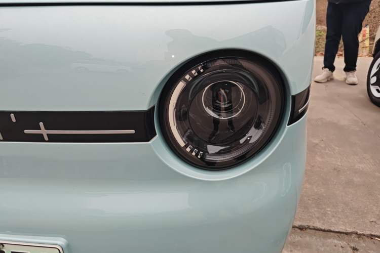 Used  Panda 2025 210 km – Yuanqi Bear
