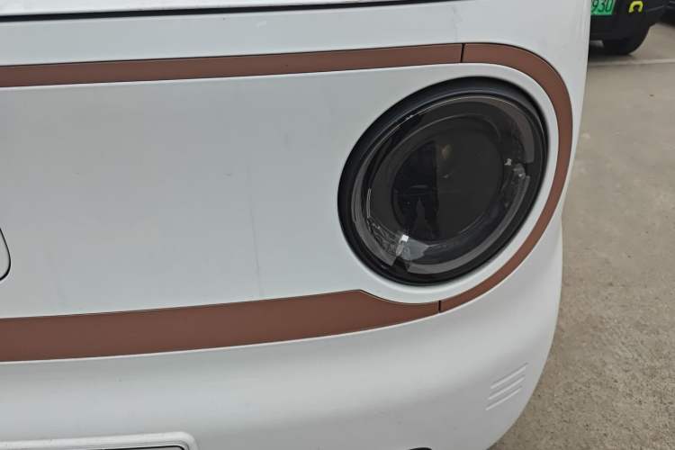 Used  Panda 2024 Panda Mini 200km Endurance Bear
